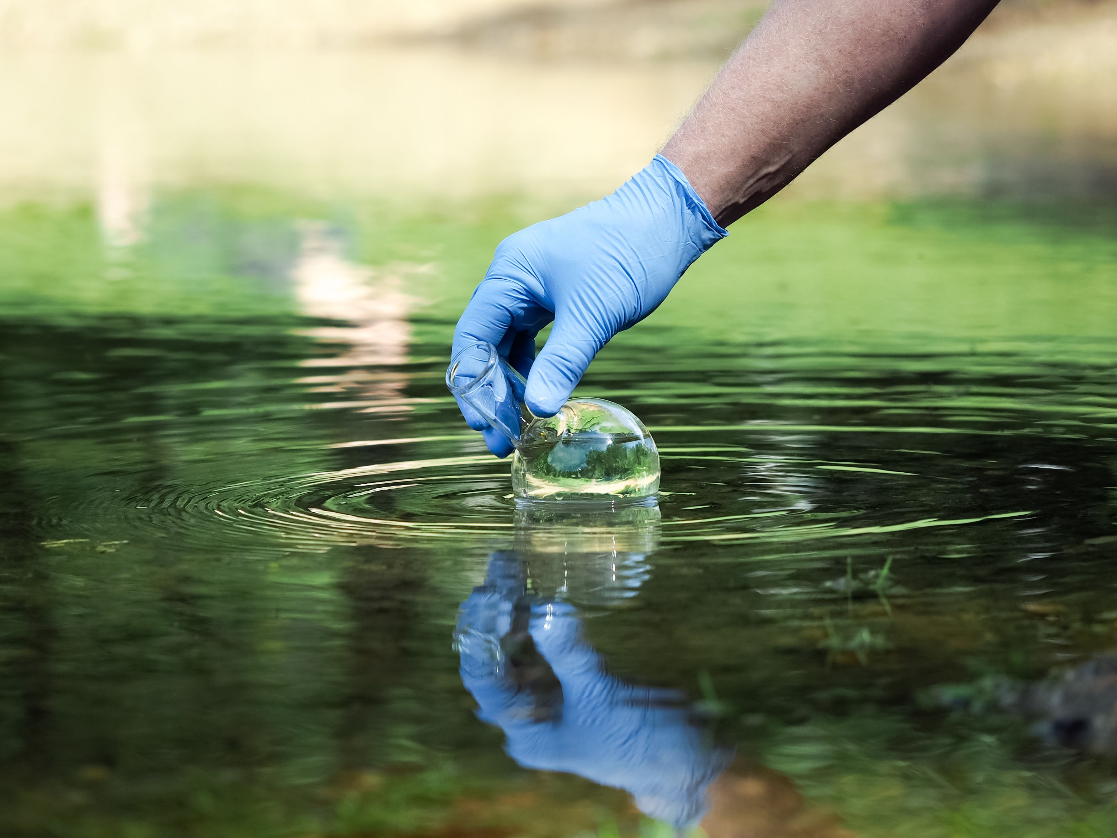 Питьевая вода озеро. Экология воды. Вода в пруду. Мониторинг воды. Пробы воды.