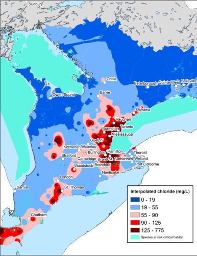 This map shows chloride levels in southern Ontario. The data for this map collected from 2007-2011. Image Credit: WWF-Canada.