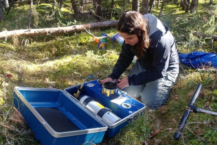 USask graduate Magali Nehemy conducting field research to investigate how trees use water in forest environments.