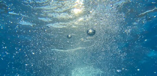 photo: jk | unsplash.com