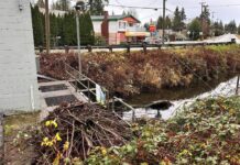 Federal government partners with Port Coquitlam to strengthen flood protection efforts