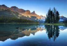 ESAA announces new Executive Director: Erin Ciezki