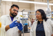 Western University water research drives sustainable global solutions