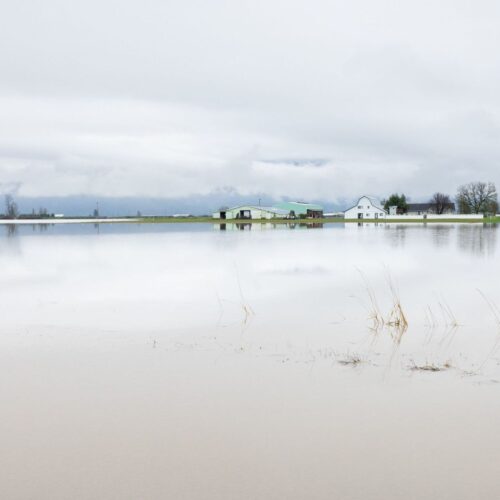 Fraser Valley Flooding