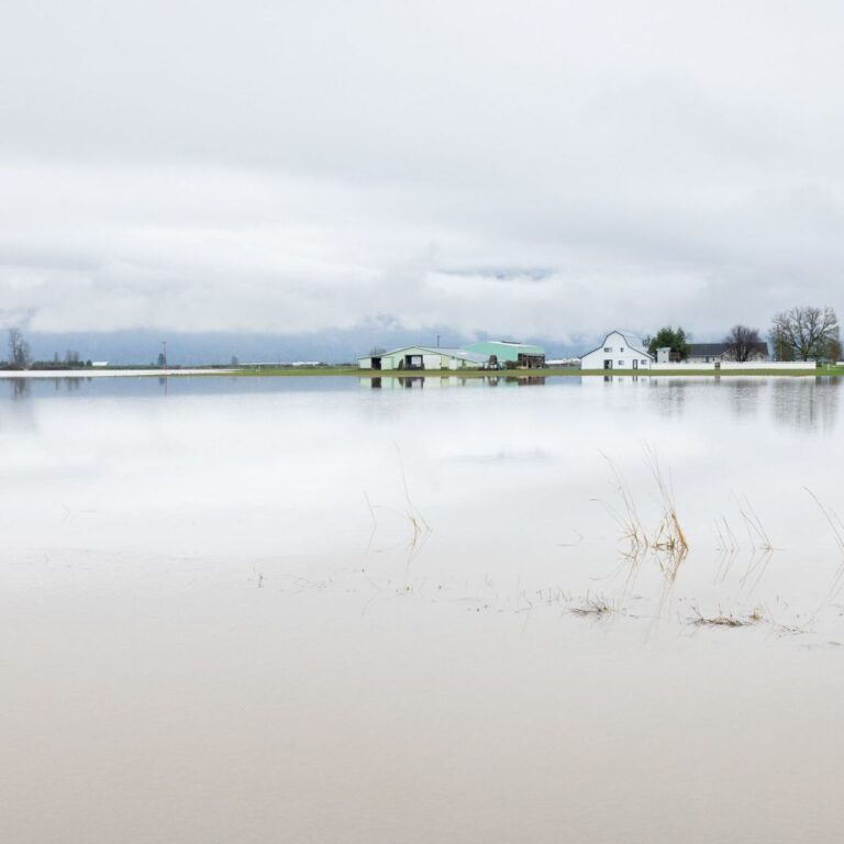 Fraser Valley Flooding