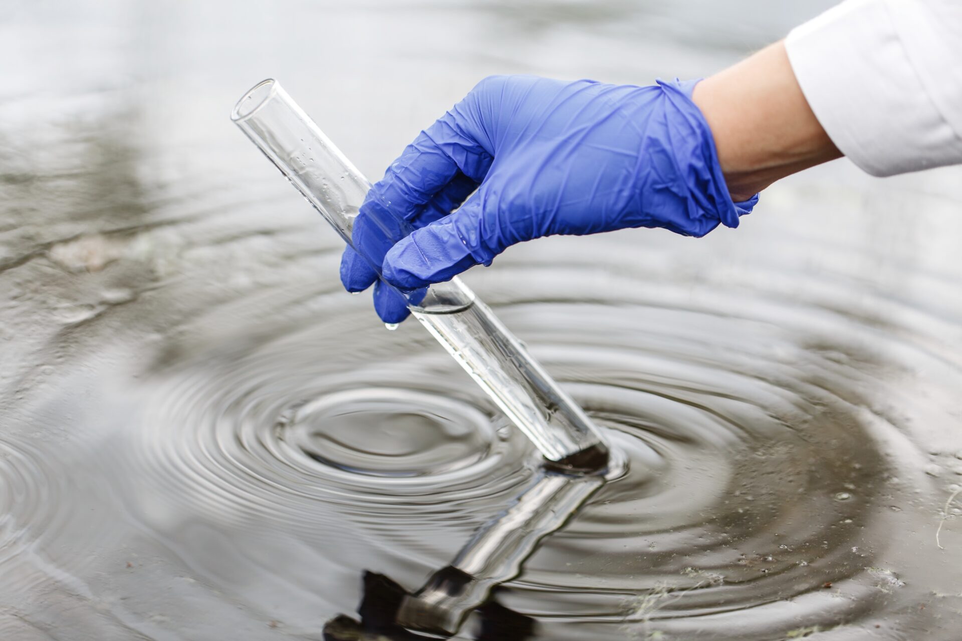 Water testing using test tube. Testing for pfas