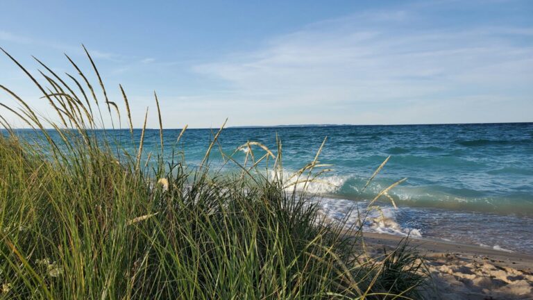 Shoreline image of the Great Lakes with waves rolling in.